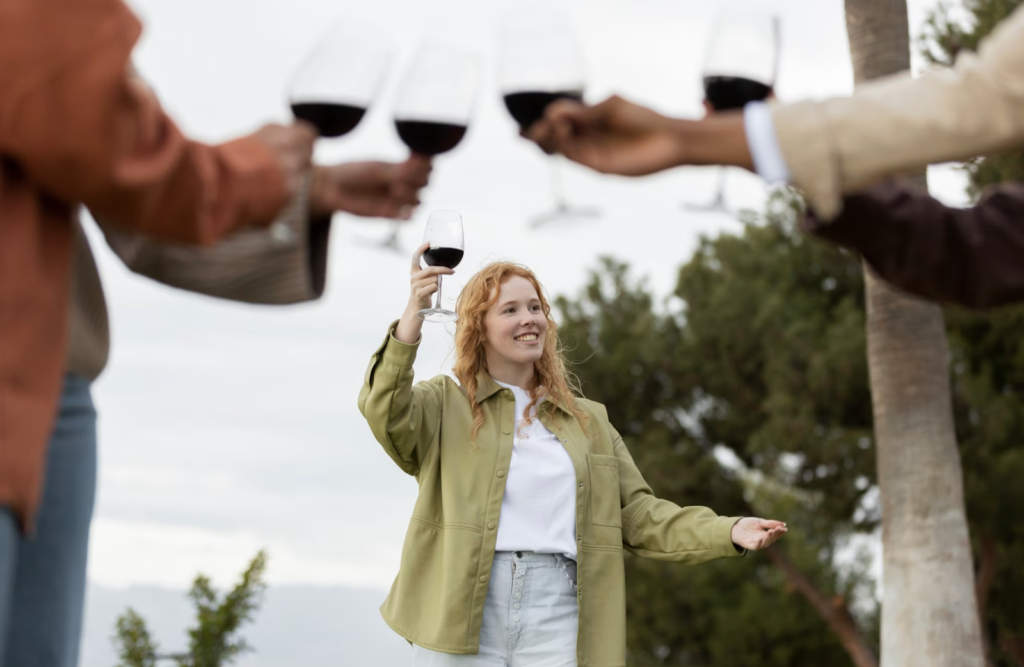  Friends toasting with glasses of wine during an outdoor party.