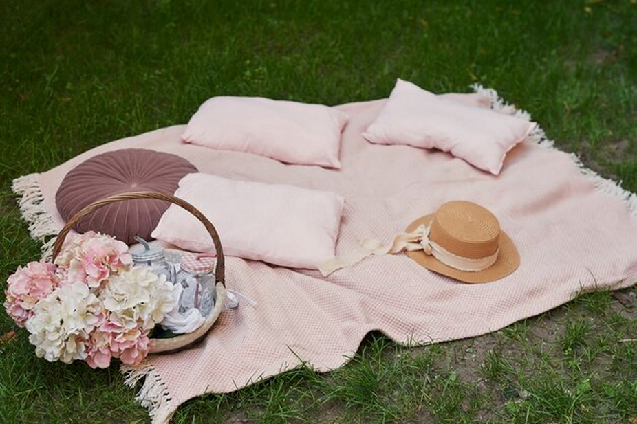 Picnic arrangement with cushions