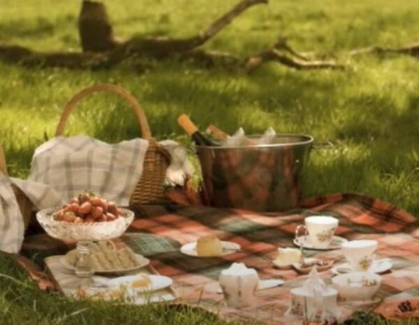 Spectacular Picnic Themes: Elevating Corporate Gatherings!