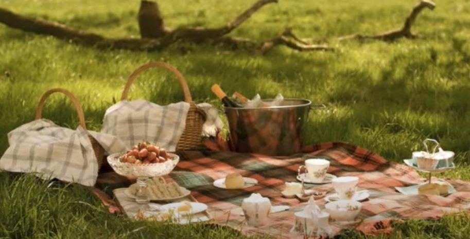 Spectacular Picnic Themes: Elevating Corporate Gatherings!