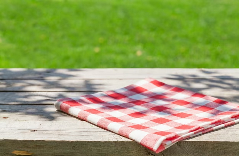 picnic blanket