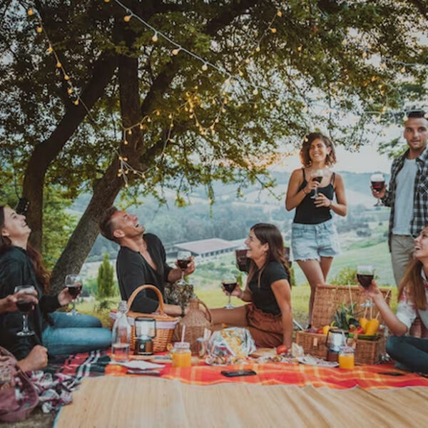 Picnic Pro: Mastering the Art of a Bug-Free Feast