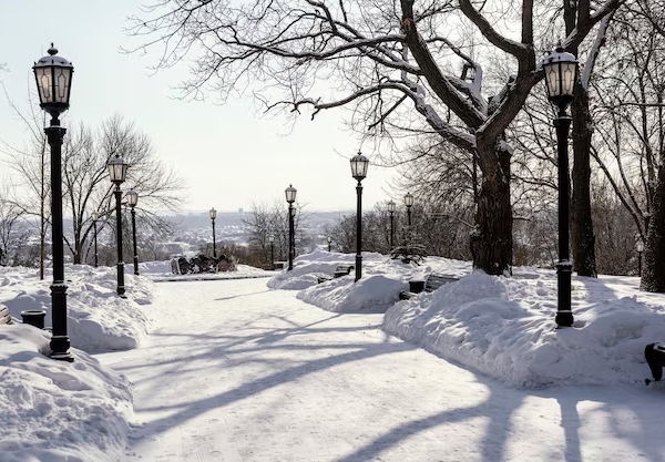 Portland’s Winter Wonderland: A Close Look at the Snowfall