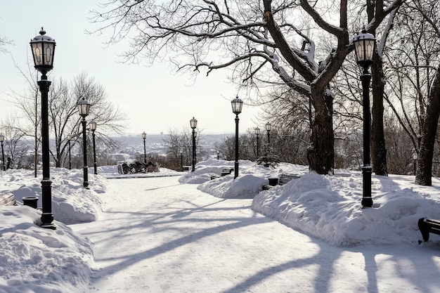 Portland’s Winter Wonderland: A Close Look at the Snowfall